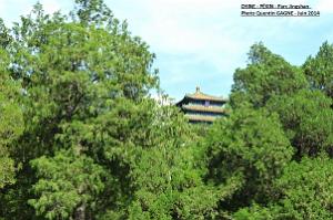 Pekin Jingshan 11